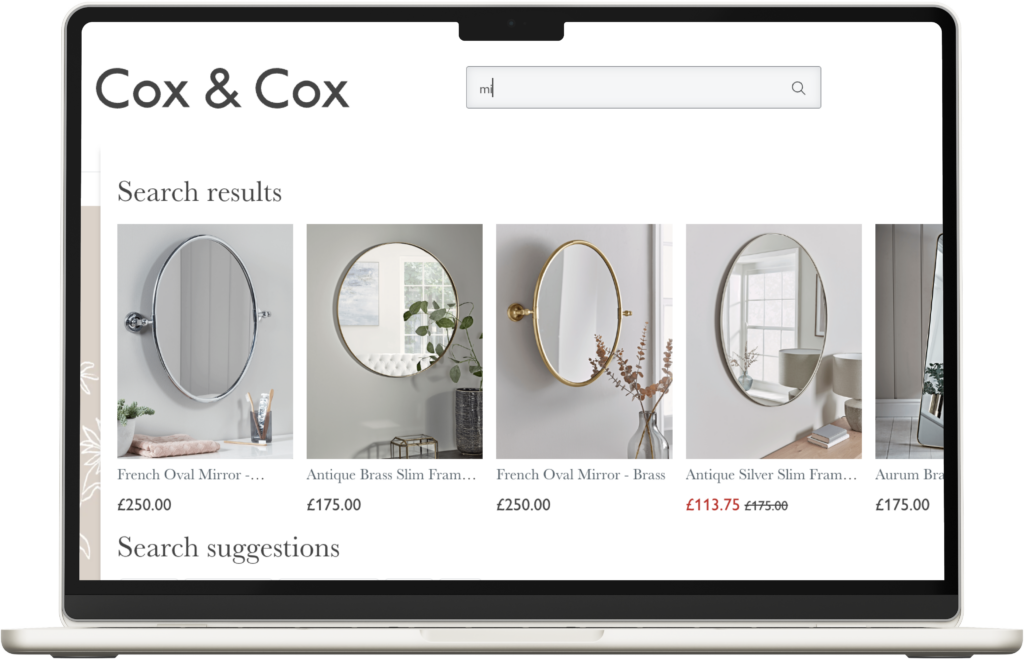 Ecommerce onsite search example